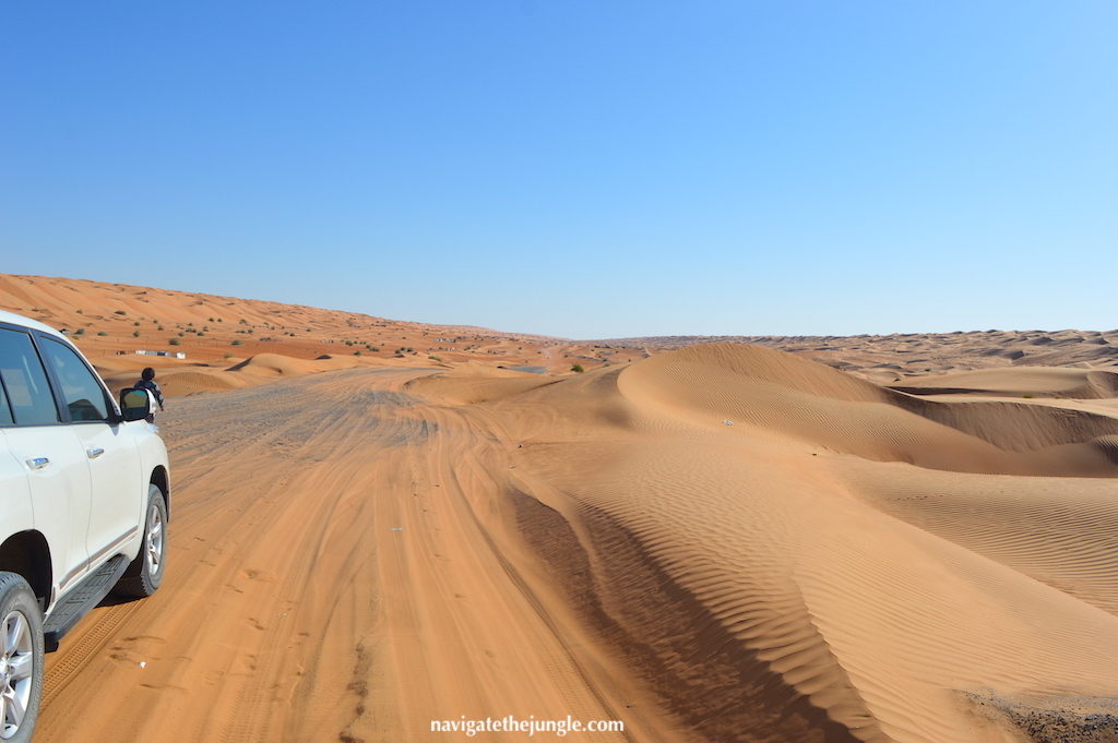 Driving the desert road